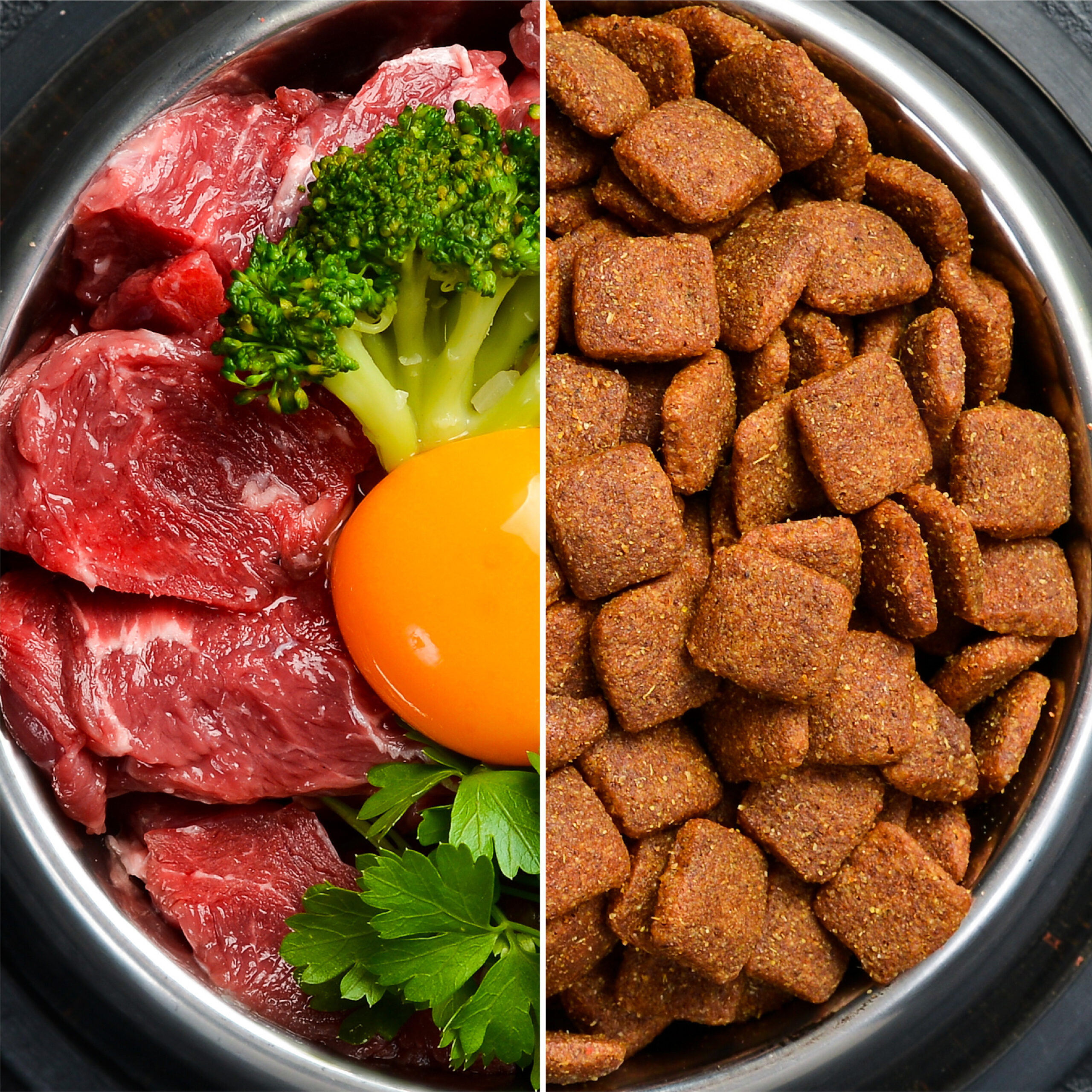 healthy dog food and nutrition bowl — canfela