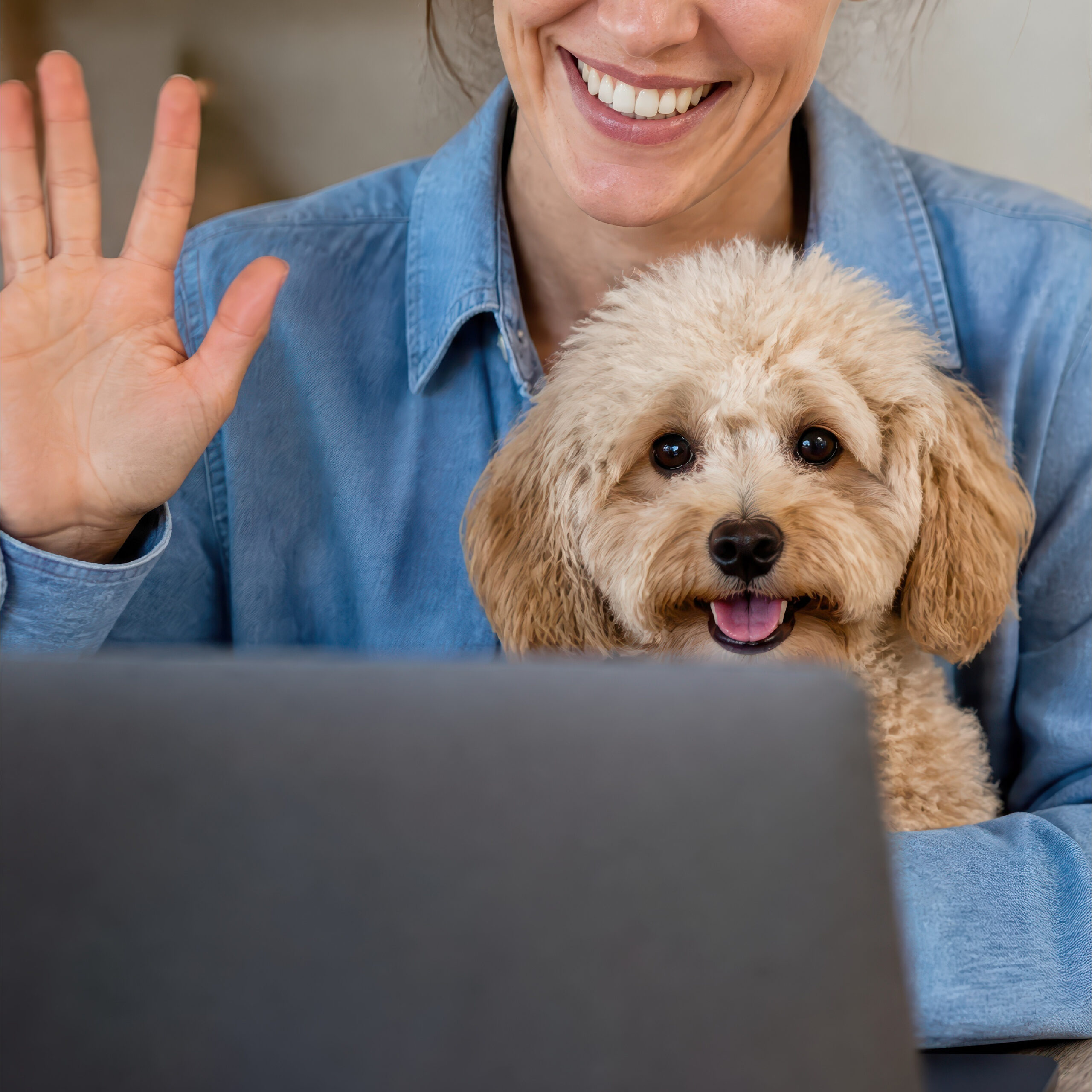 A one-on-one video consultation to discuss your pet's nutritional needs directly with Dr. Mohammad Elahi.